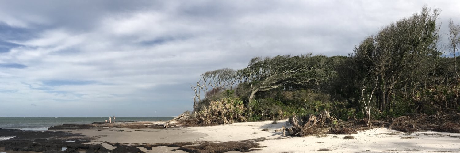 fidlet's profile banner image