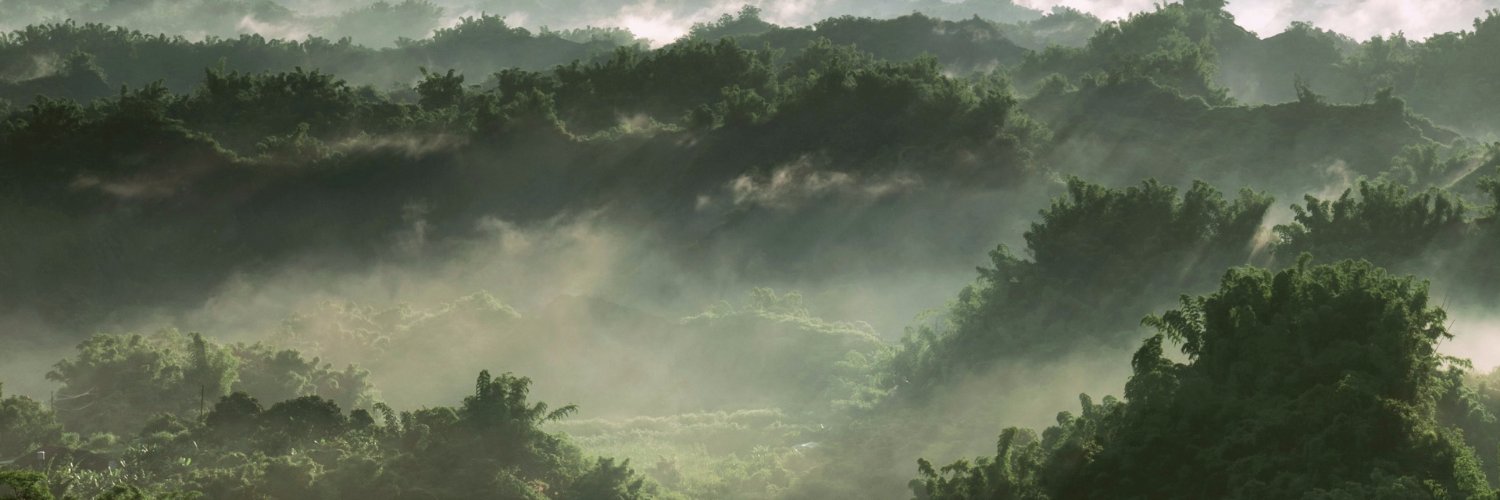 kayaxdd banner