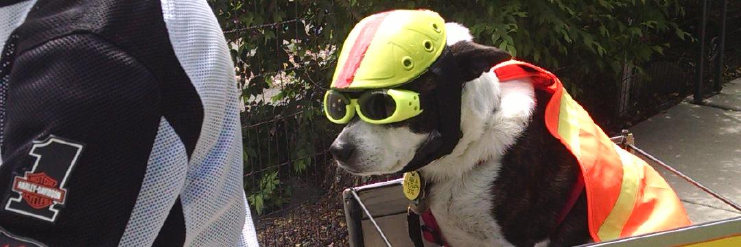 motorcycledog's profile banner image