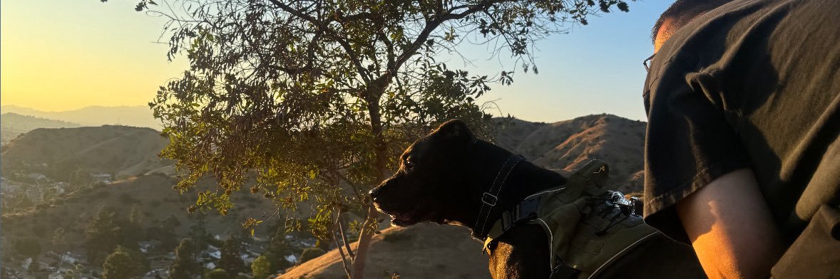 iloozion's profile banner image