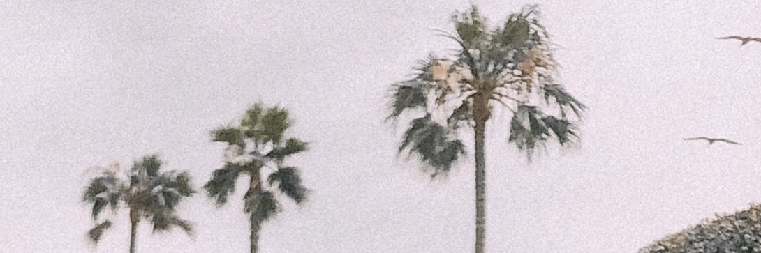 kylee_rose1's profile banner image