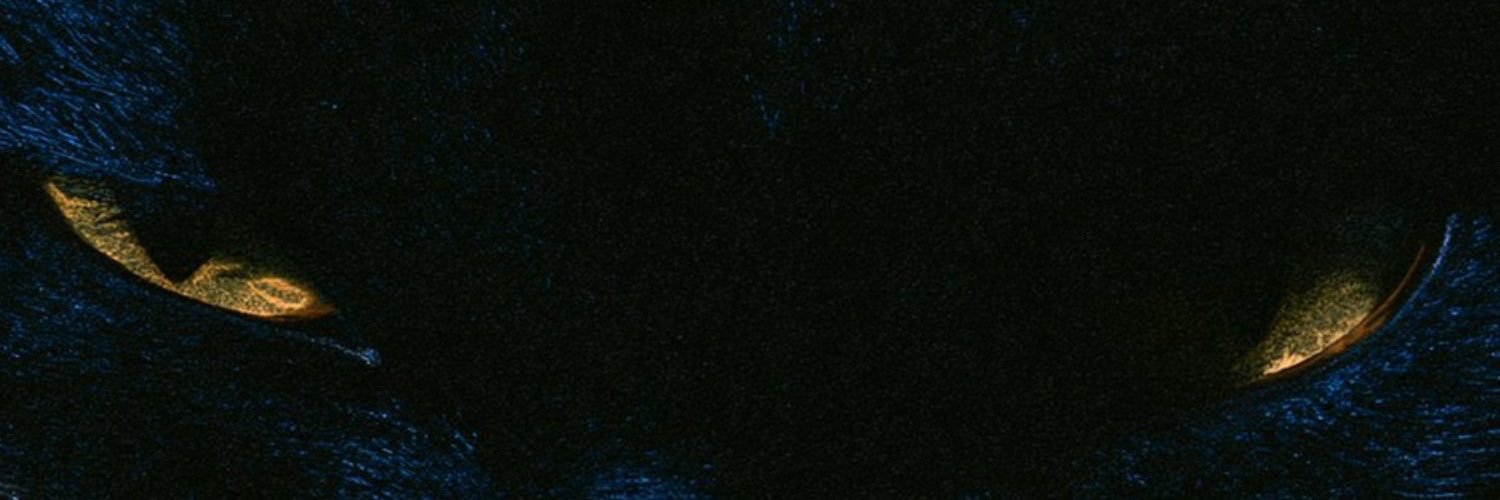 Isonward_'s profile banner image