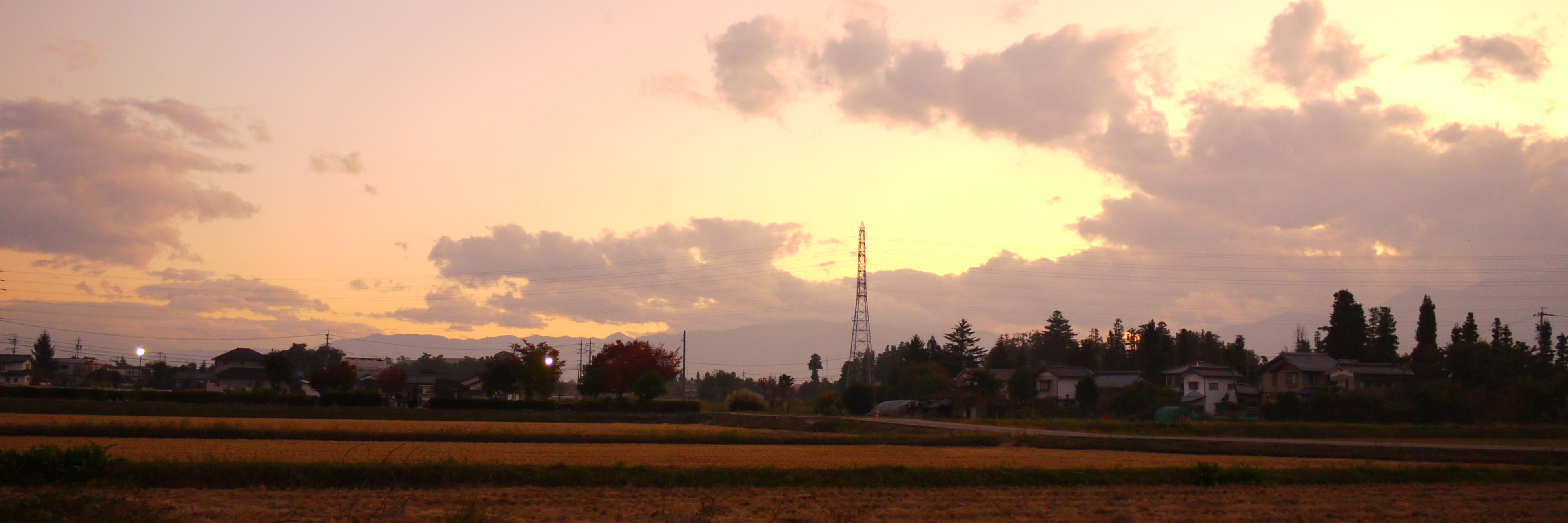 NS_SENTINEL's profile banner image