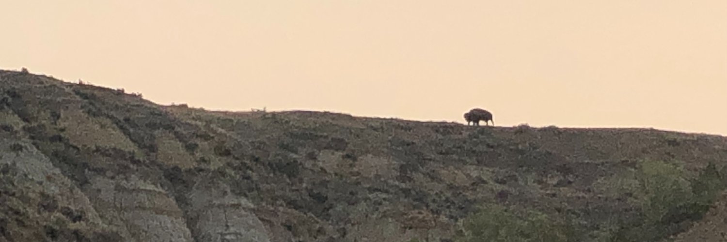 SteveBlackledge's profile banner image