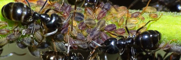 GJGamble Profile Banner