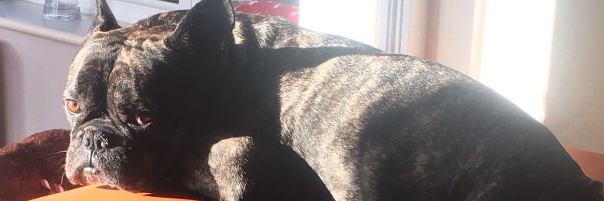 Alexwalker5a's profile banner image
