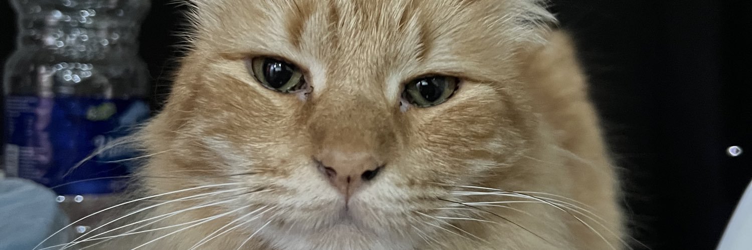 RossiAMarcos's profile banner image