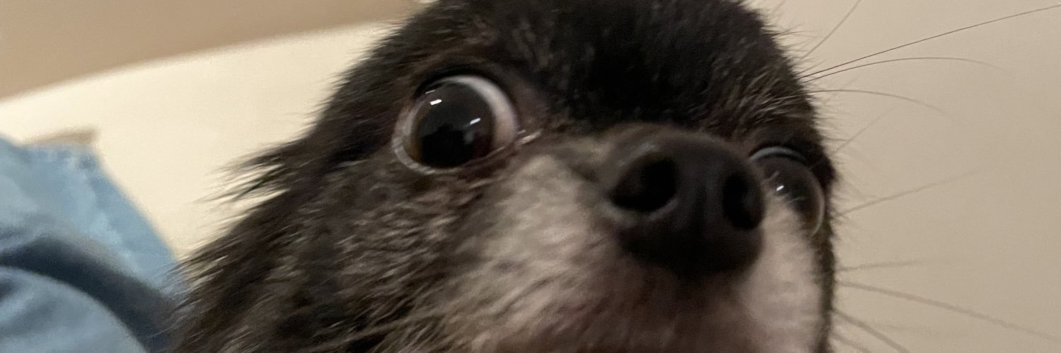 giovannapolack's profile banner image