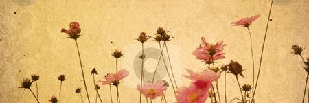 Ramadhancitra's profile banner image