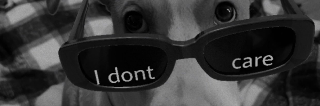 MeggXCVI's profile banner image