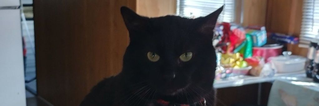 Nancy Lightner banner