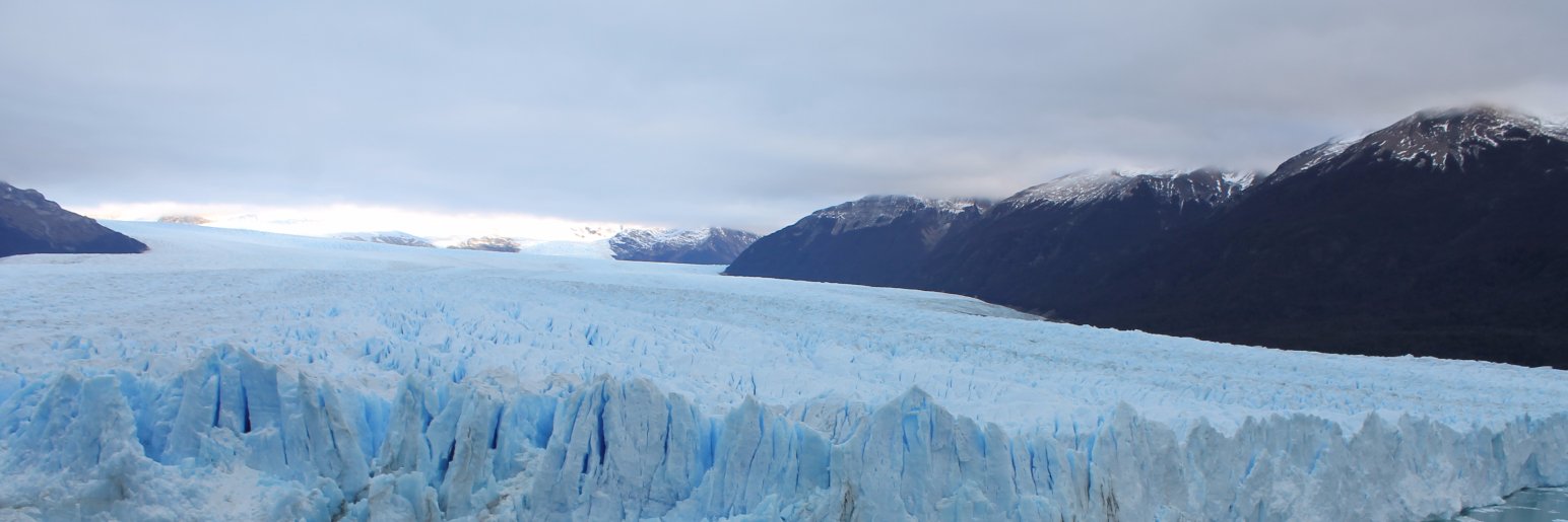 Mayte Toscano banner