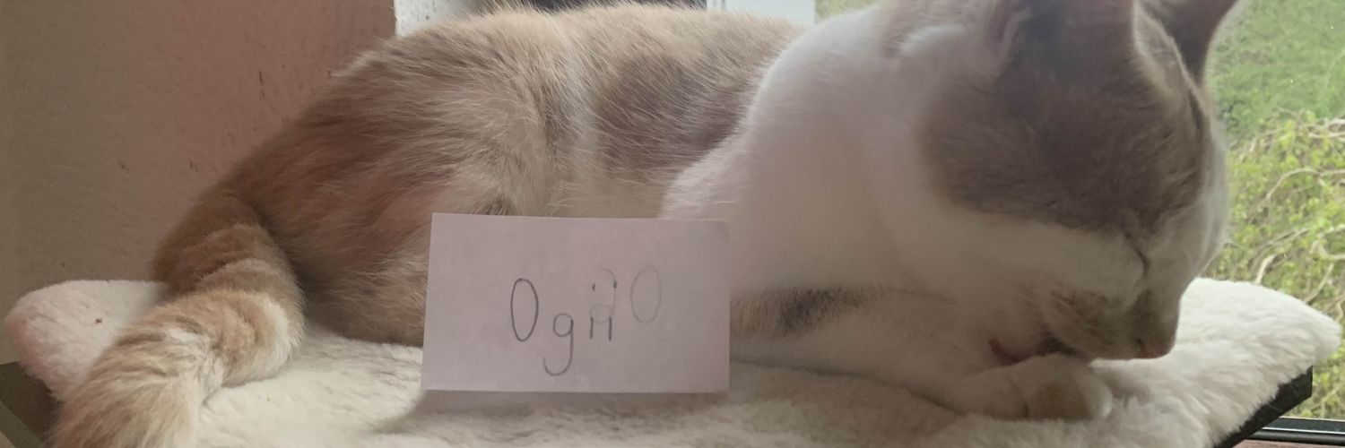 「𝑜𝑔𝑖」 banner