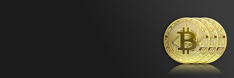 trunkymunky's profile banner image