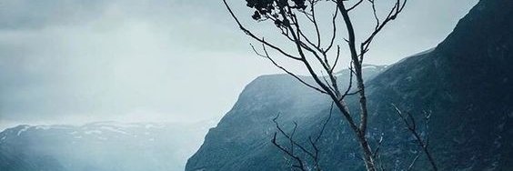 MootaeMooeak's profile banner image