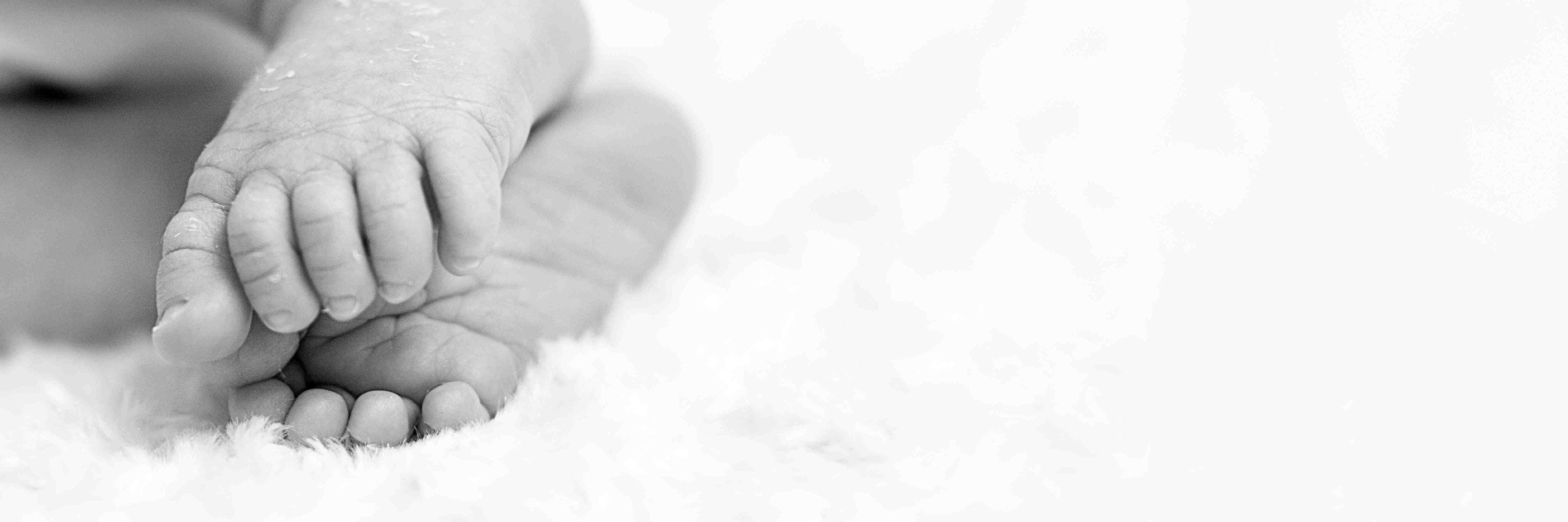 LittleBooties's profile banner image