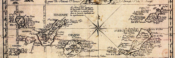 Canarywine Profile Banner