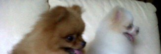 fadilladelfi's profile banner image