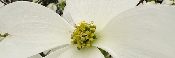 prabhaliyana88 Profile Banner