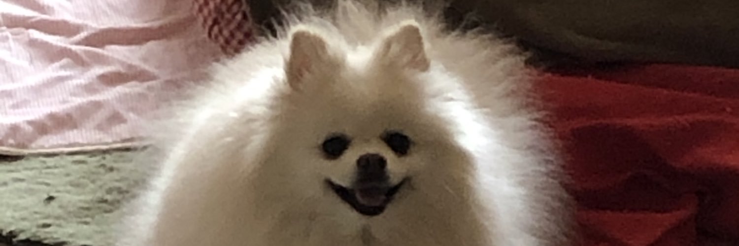 gomasannn's profile banner image