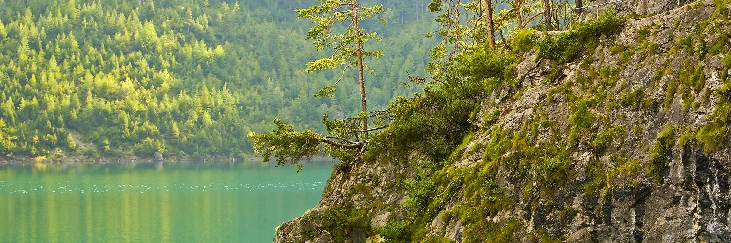 NBDimitrov's profile banner image