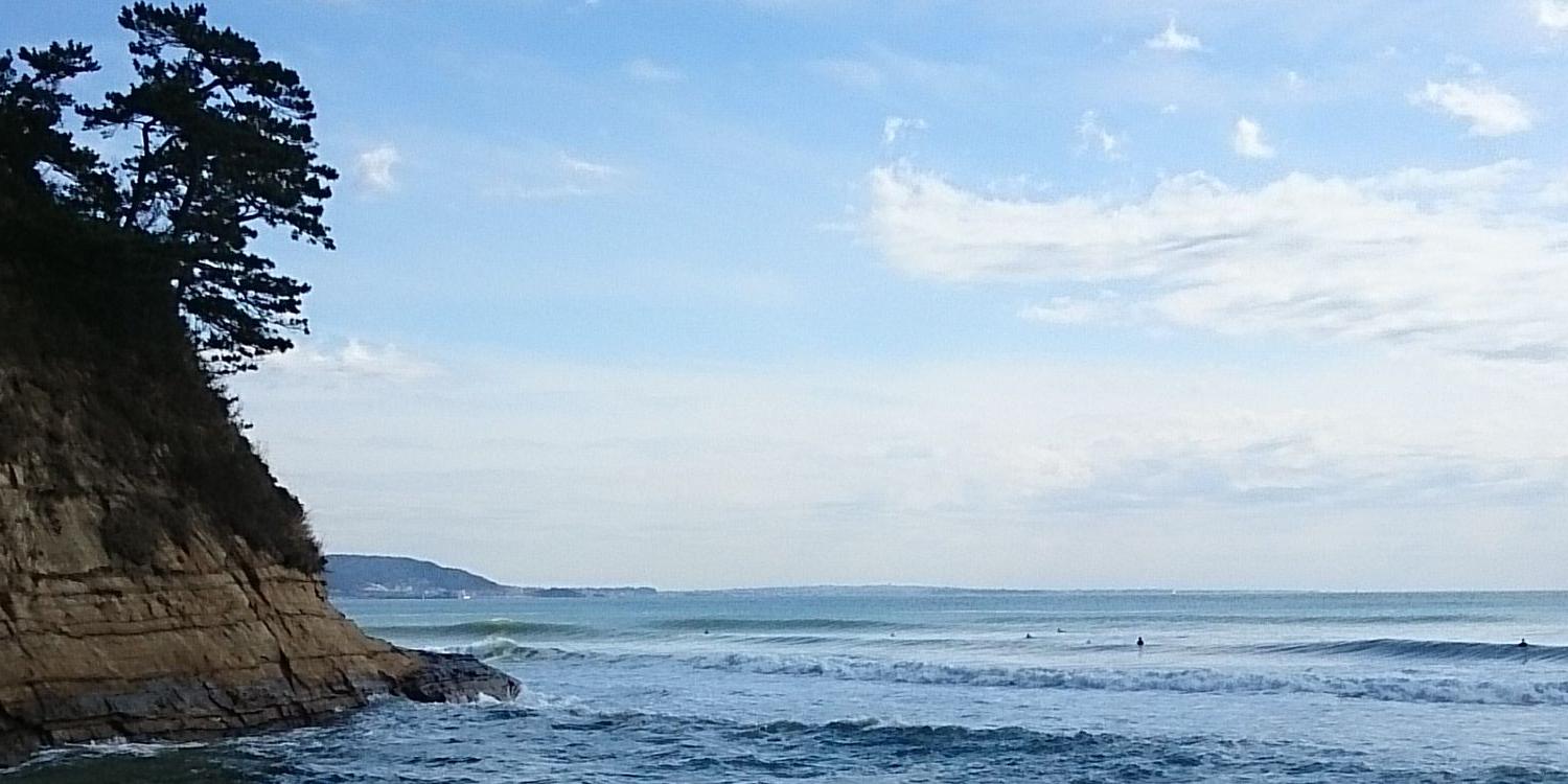 高畑信吾 - ShingoTakahata banner