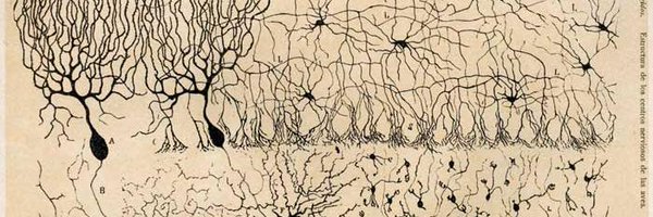 InstitutoCajal Profile Banner