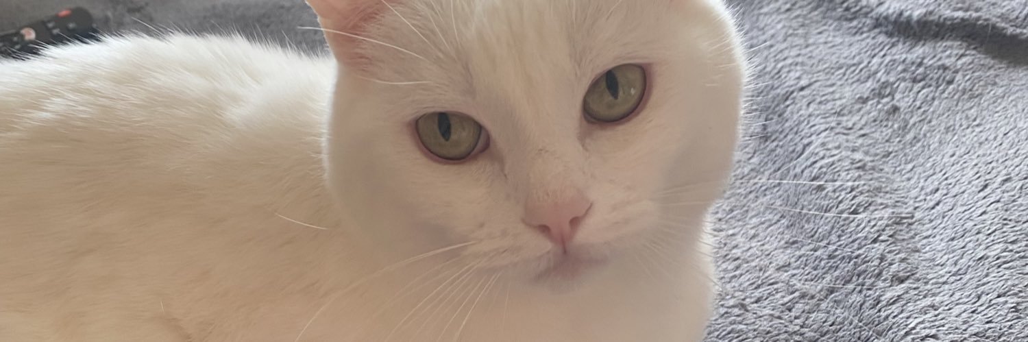 mzthou's profile banner image