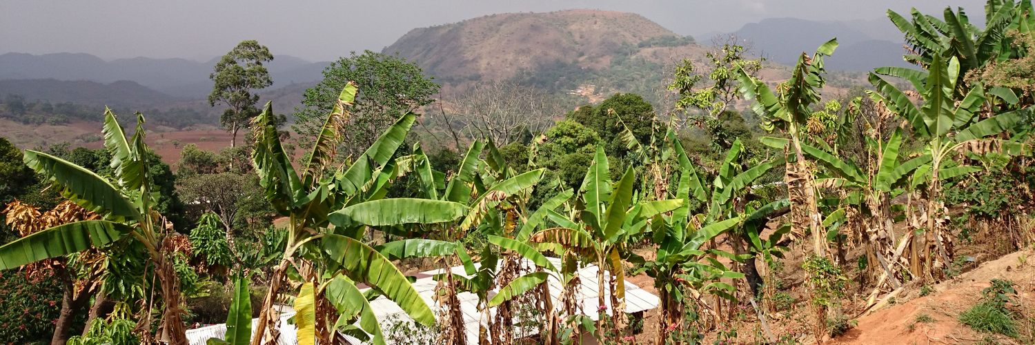 ngeptanghe's profile banner image