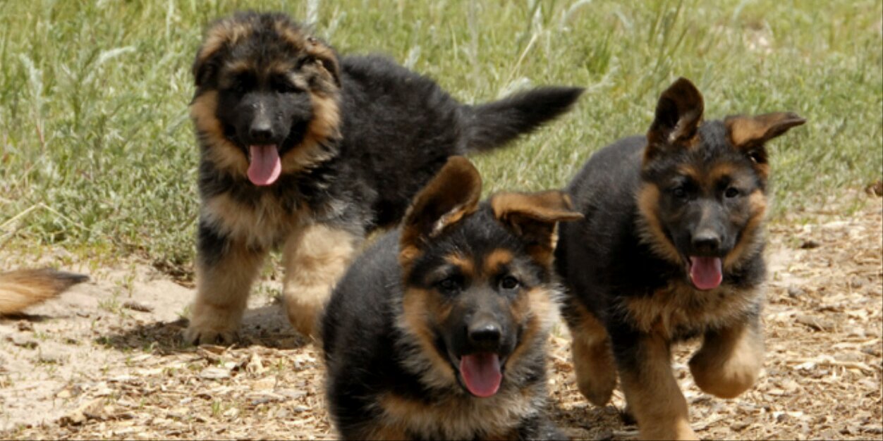 NuclearPowerGSD's profile banner image