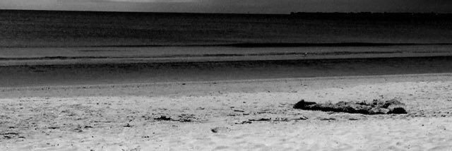 _MissMeyer's profile banner image