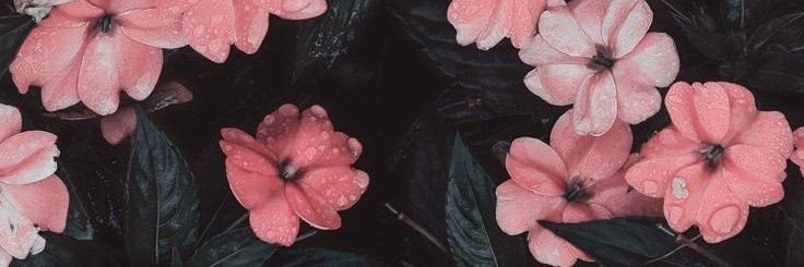 kinanhap's profile banner image