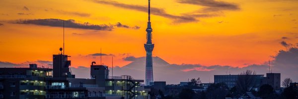 myomyo01 Profile Banner