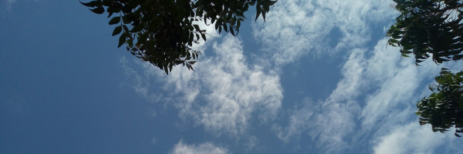 ElhusseinA81's profile banner image