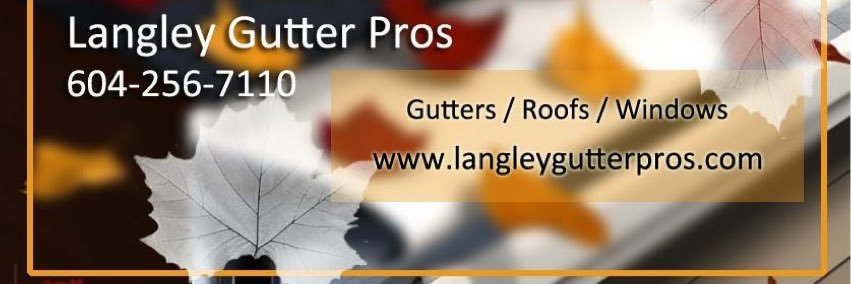 LangGutterPros's profile banner image