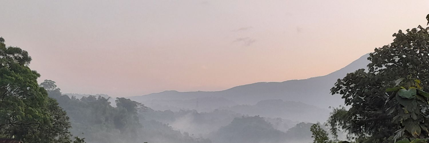 mizzritha's profile banner image