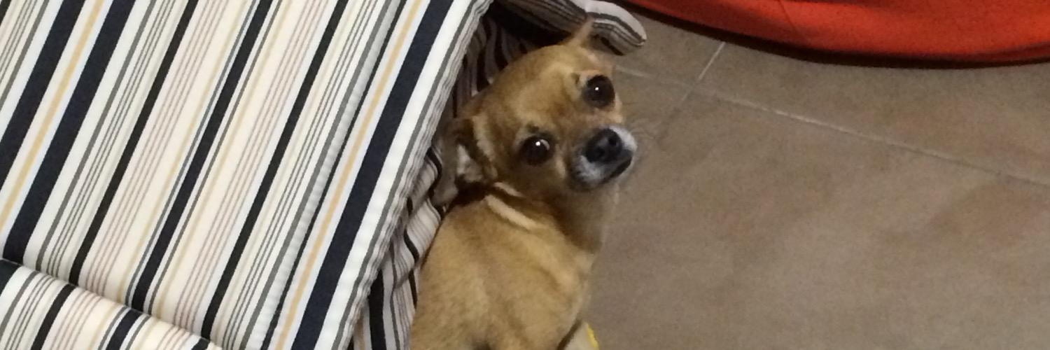 Jsanz983's profile banner image