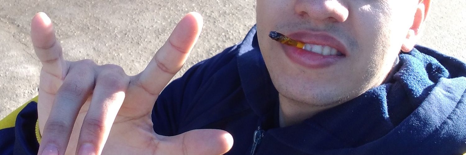 SE14Fuk's profile banner image