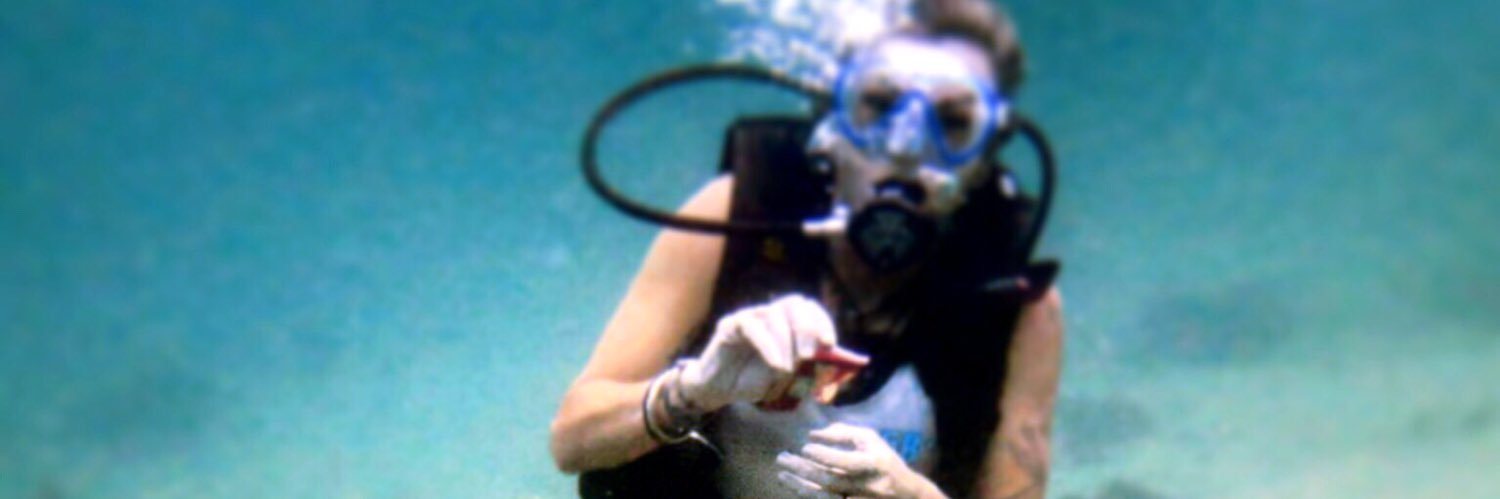 Sandi James PGPsy MEd CEDC banner