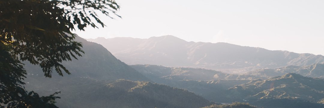 tepeiya's profile banner image