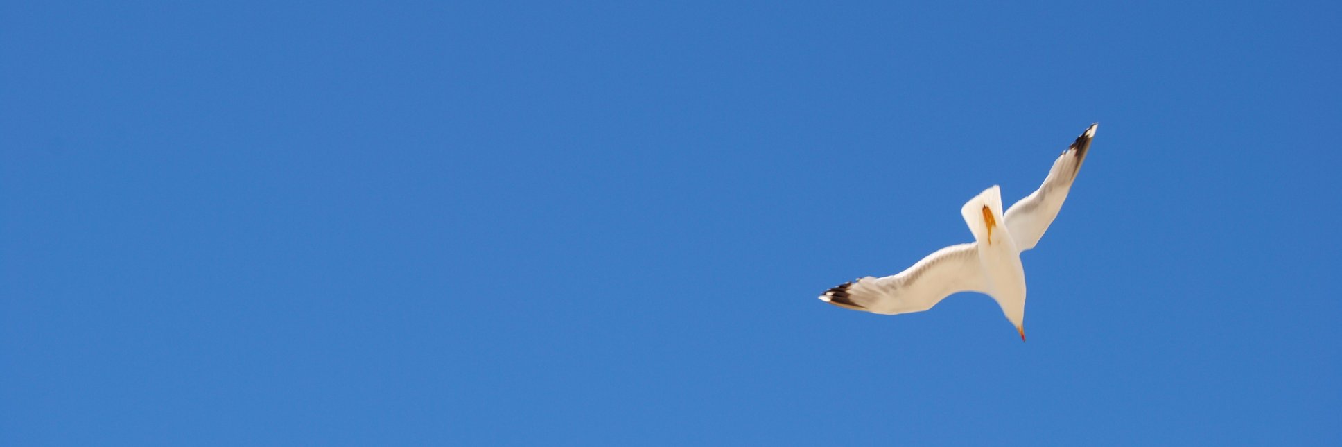 MONTCIVIT's profile banner image