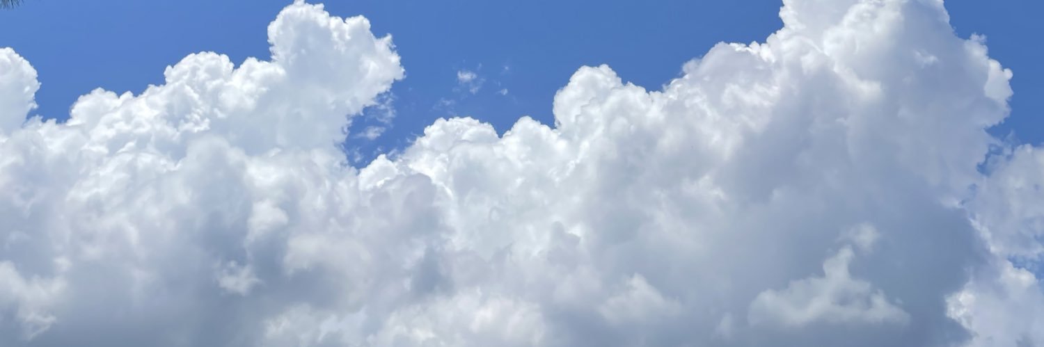 ulanedda's profile banner image