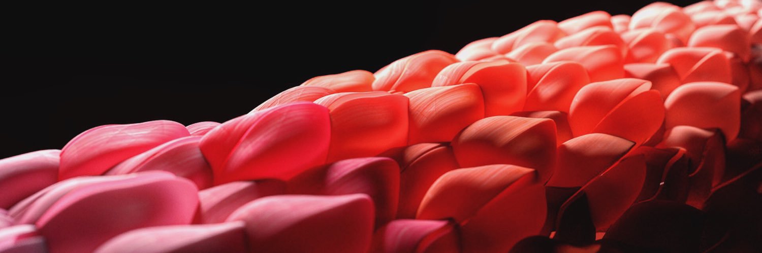 Marco Bergstein banner