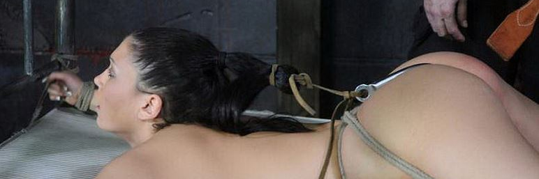 sissy_jasmijn's profile banner image