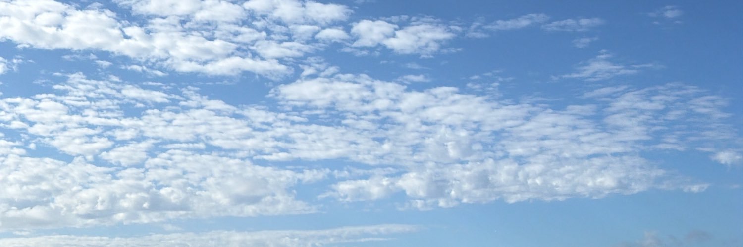 Ivanoide 🤖 banner