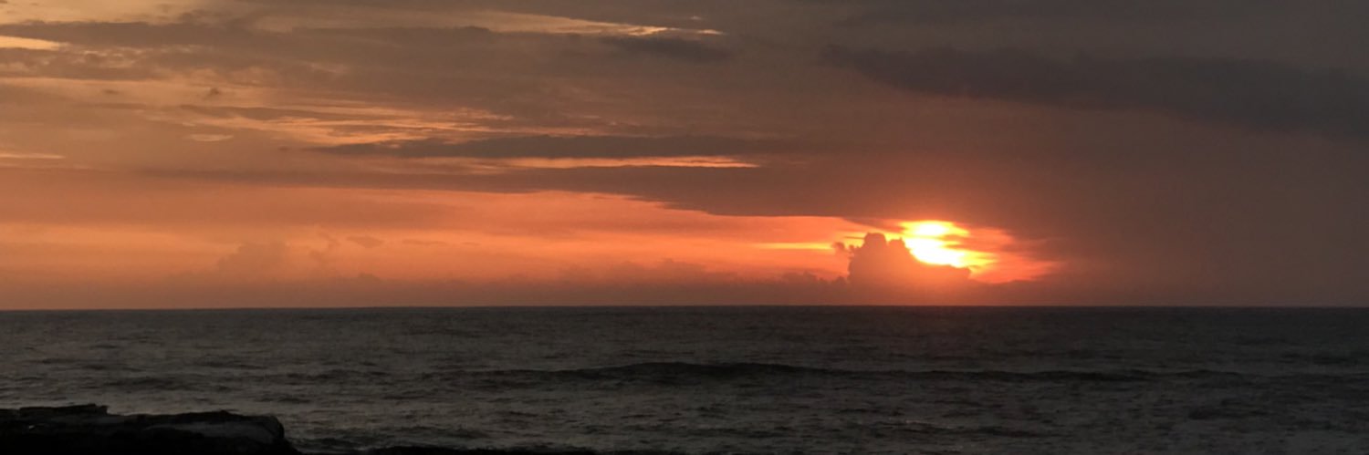 ranie96's profile banner image