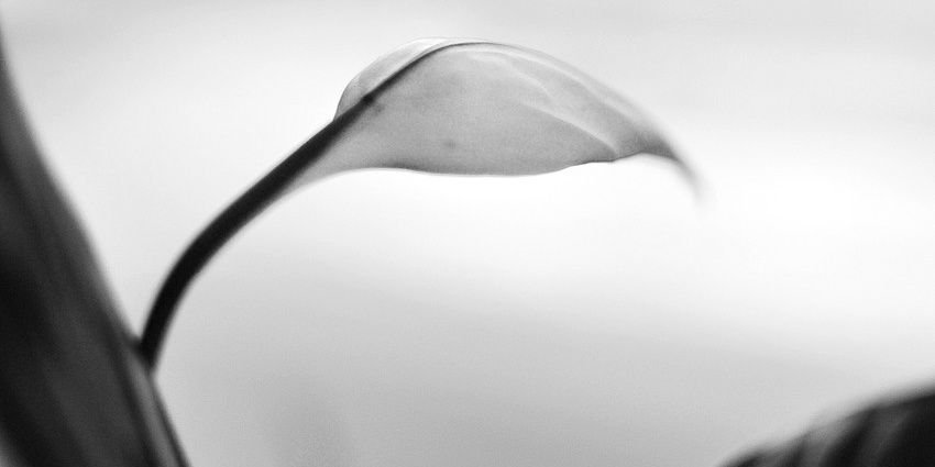 GR_Hongbo's profile banner image