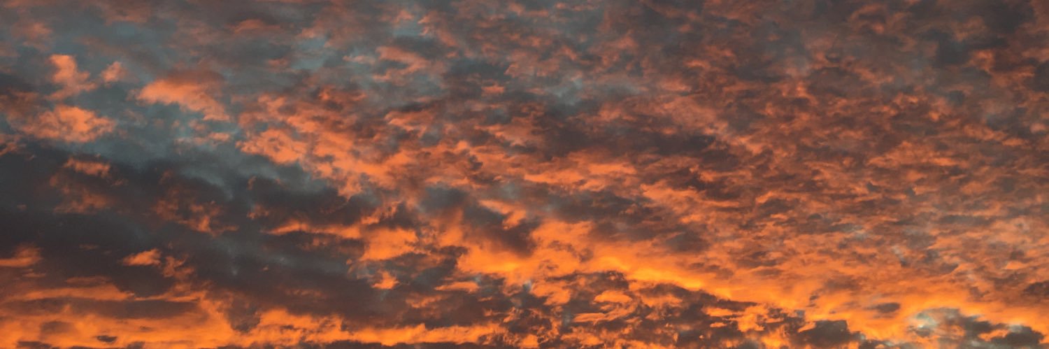 tainaChee's profile banner image