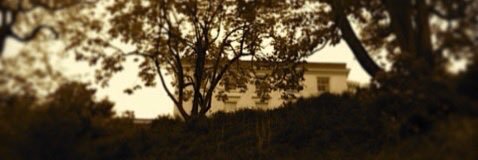 social_murder's profile banner image