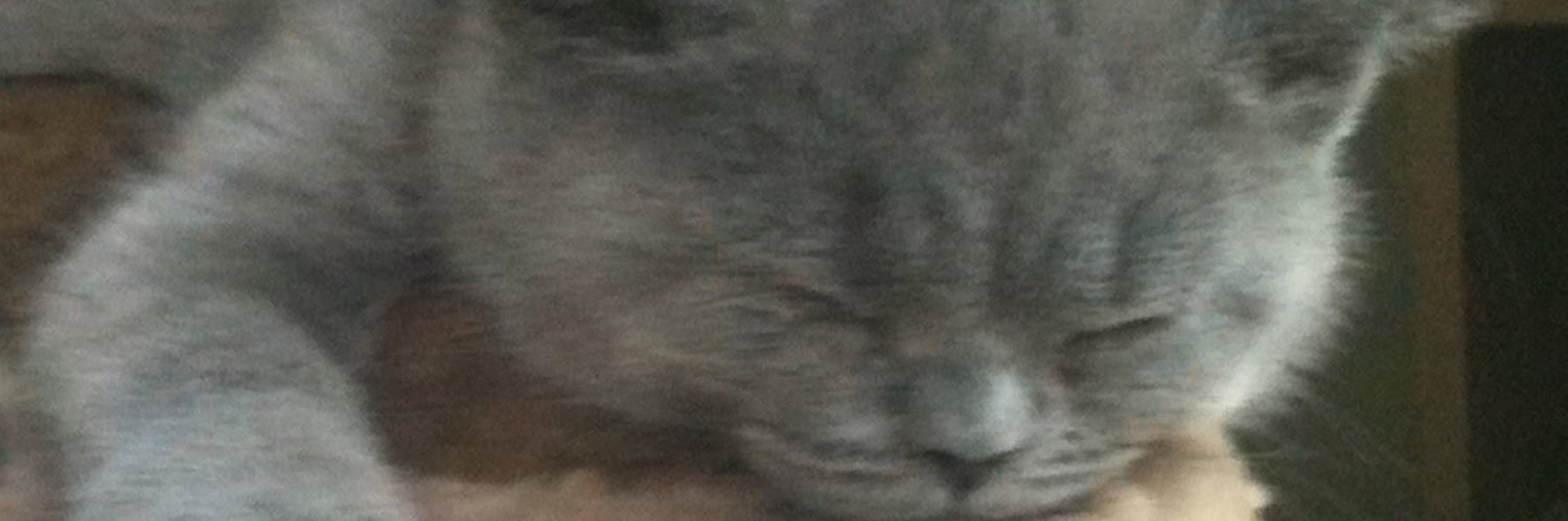 lblower1's profile banner image